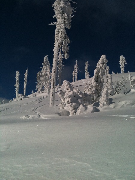 Am Dreisesselberg Januar 2012